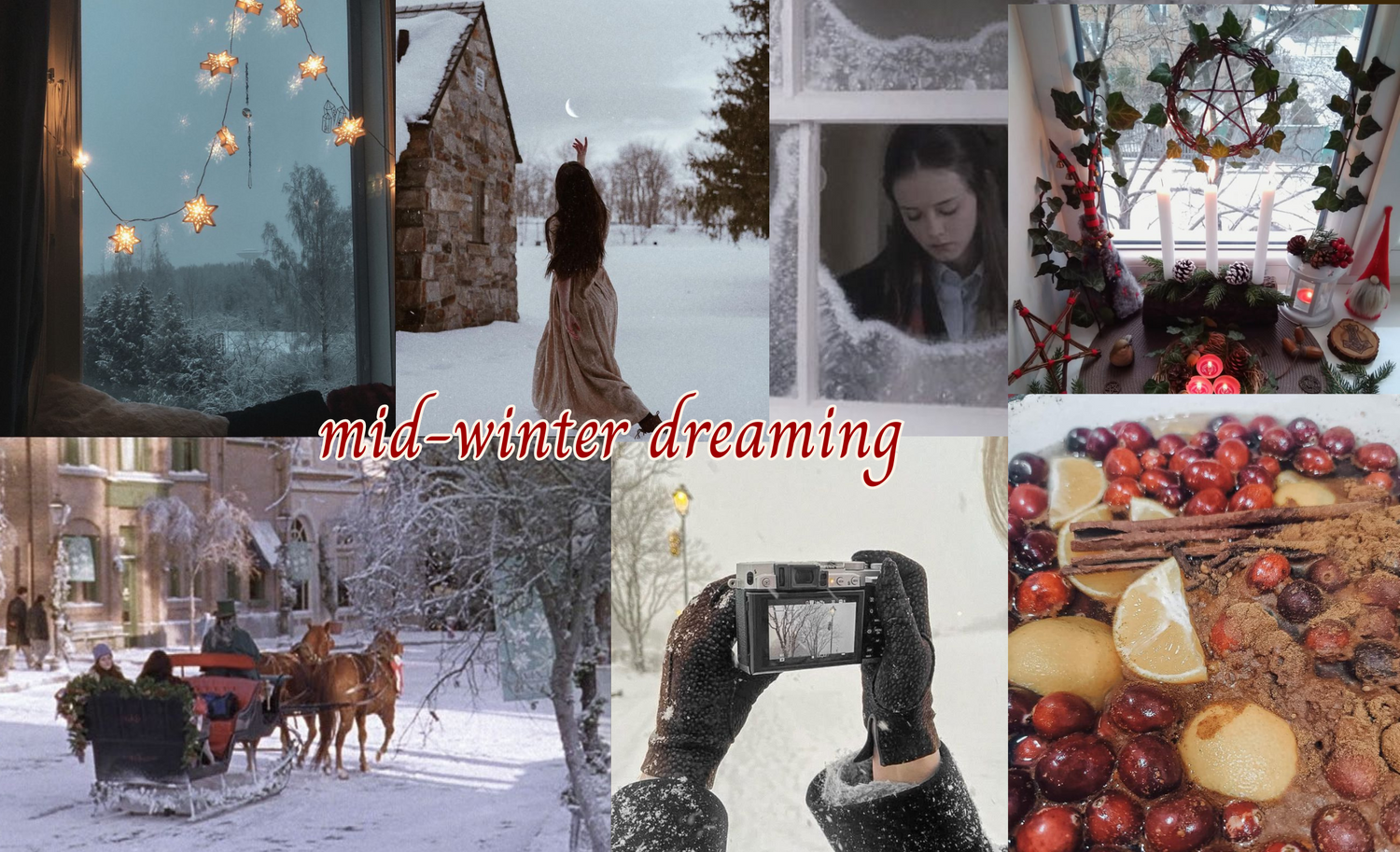 mid-winter dreaming ❄️